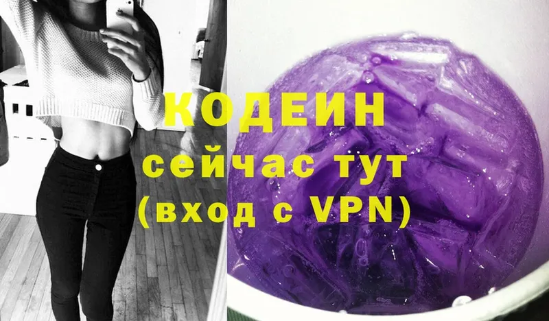 Кодеиновый сироп Lean напиток Lean (лин)  hydra как зайти  дарк нет наркотические препараты  Петропавловск-Камчатский 